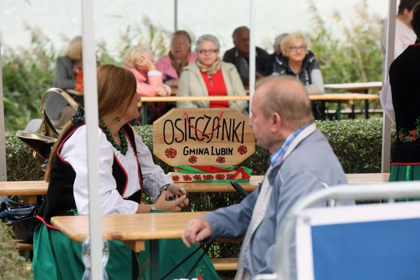 Kunicka Folk Biesiada. Przyjechało dziewięć zespołów, zobaczcie zdjęcia