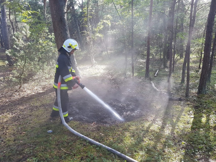 Akcja gaszenia ogniska w lesie w Helu 14.09.2019