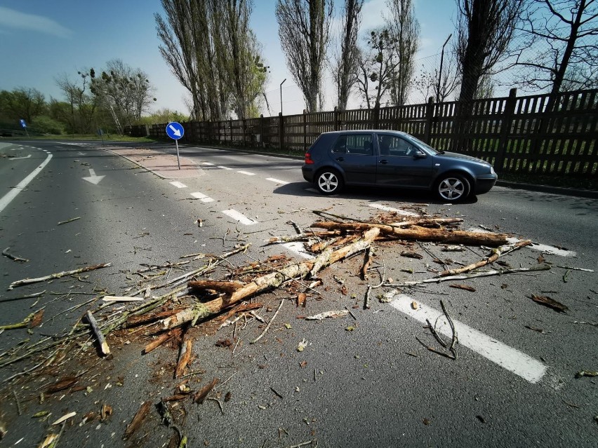 Uwaga na silny wiatr! Nad Łódź i region nadciąga huragan...