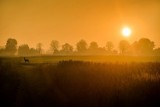 Poznaliśmy zwycięzców konkursu fotograficznego „Lubelskie. Smakuj życie!”. Zobacz wyróżnione prace