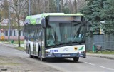 Majówka 2022 w Tomaszowie. Jak będą kursowały autobusy MZK w długi weekend?