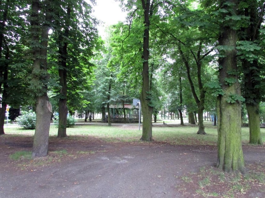 Park we Wrześni pod supermarket.