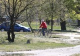 Powstanie droga rowerowa i chodniki. Niedługo ruszą prace na Łubinowej