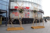 Świąteczna sobota 17 grudnia w Galerii Echo w Kielcach. Choinka za wydane 100 złotych oraz kolędy i pastorałki w wykonaniu młodych muzyków
