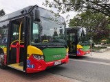 Biała Podlaska: Dodatkowe kursy autobusów podczas świąt