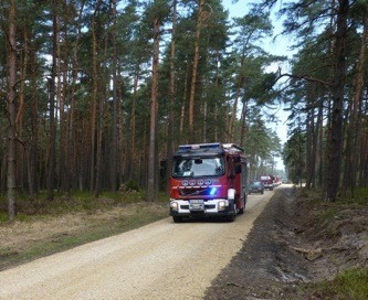 Strażacy z Lublińca i OSP z terenu powiatu wspólnie ćwiczyli gaszenie pożaru lasu [FOFO]