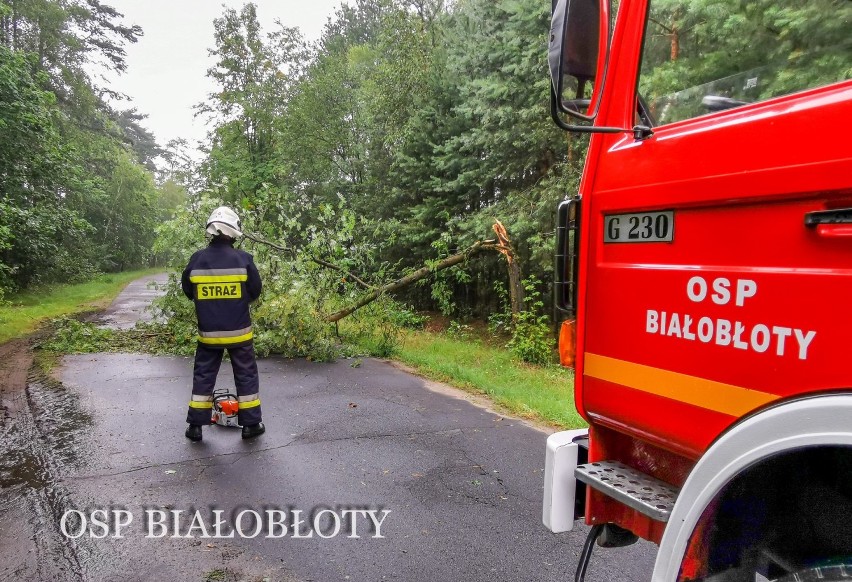 Burza nad powiatem. Silny wiatr połamał drzewa, które blokowały drogi