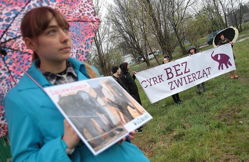 "Cyrk bez zwierząt". Obrońcy praw zwierząt protestowali w Krakowie [ZDJĘCIA]