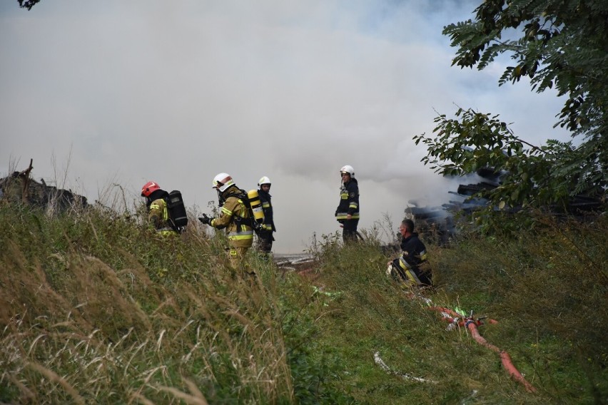 Wielki pożar w Ksawerowie. Na miejscu pracowało ponad 20 zastępów PSP i OSP. ZDJĘCIA