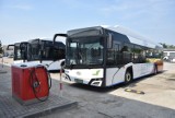 Malbork. Autobusy elektryczne już w komplecie w zajezdni MZK. Wkrótce pasażerów obsługiwać będzie sześć pojazdów na wtyczkę