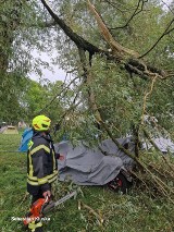 Sztorm, wichura i deszcz na Pomorzu. Jak wygląda sytuacja? Strażacy po nocnych interwencjach. Najgorzej jest nad Bałtykiem 08.08.2023