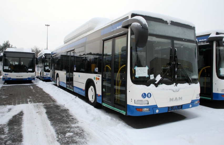Nowe autobusy MAN w Gdyni