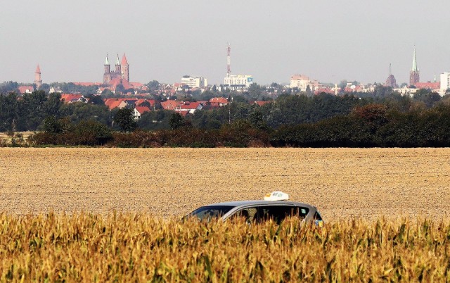 Tak wygląda Legnica widziana z Koskowic.