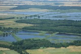 Rezerwat przyrody Stawy Przemkowskie jest niezwykły. Gościnnie przylatują różowe pelikany a nawet ibisy! Zobaczcie, jak tam pięknie!