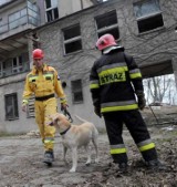 Perełki, o które nikt nie umie zadbać