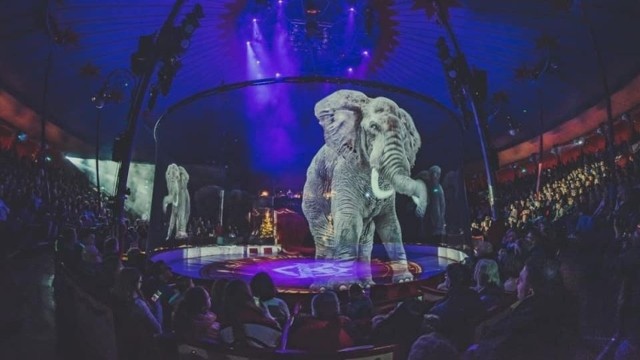 W Bytomiu podczas cyrkowego pokazu pojawiły się hologramy zwierząt. Cyfrowy performance odbył się zgodnie z hasłem widowiska "Niech żyje Wictoria".