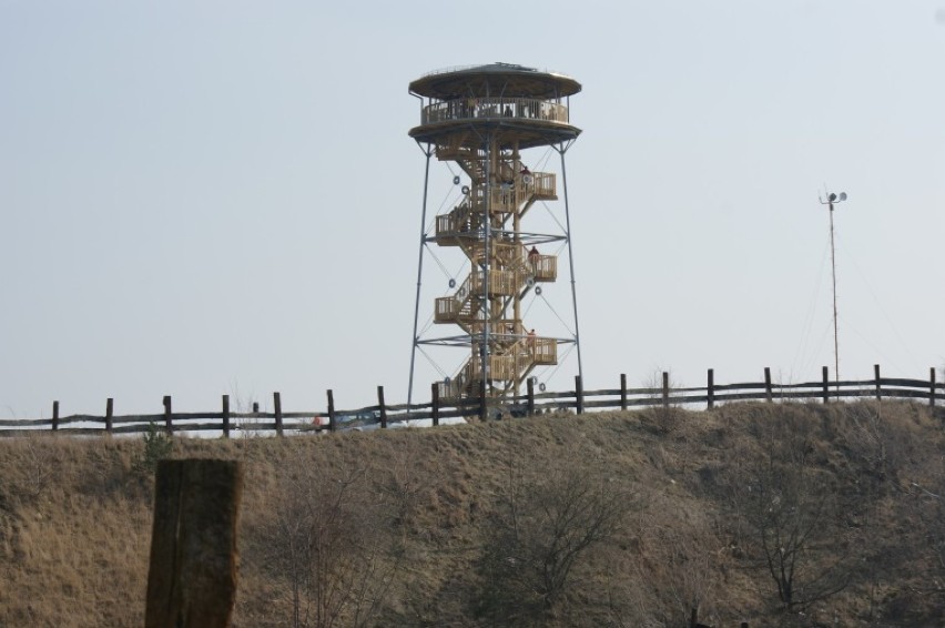 Wieża widokowa Paprotnia