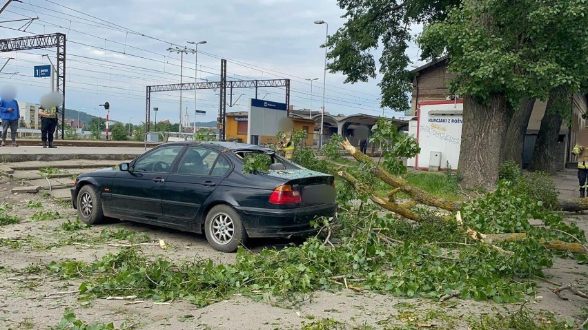 Drzewo spadło na samochód w Wejherowie. Nikt nie został poszkodowany |ZDJĘCIA