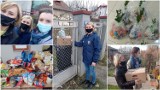 Tarnów. Klub Czarownic z Tarnowa dostarczył seniorom świąteczne paczki i prezenty na Wielkanoc [ZDJĘCIA]