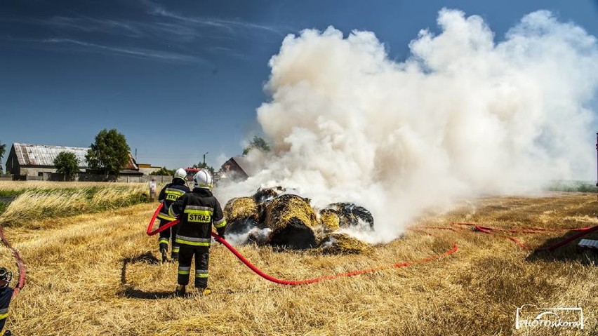 STRAŻACY W AKCJI: Wypadek i pożar przyczepy z balotami w Koźminie Wielkopolskim [ZDJĘCIA]