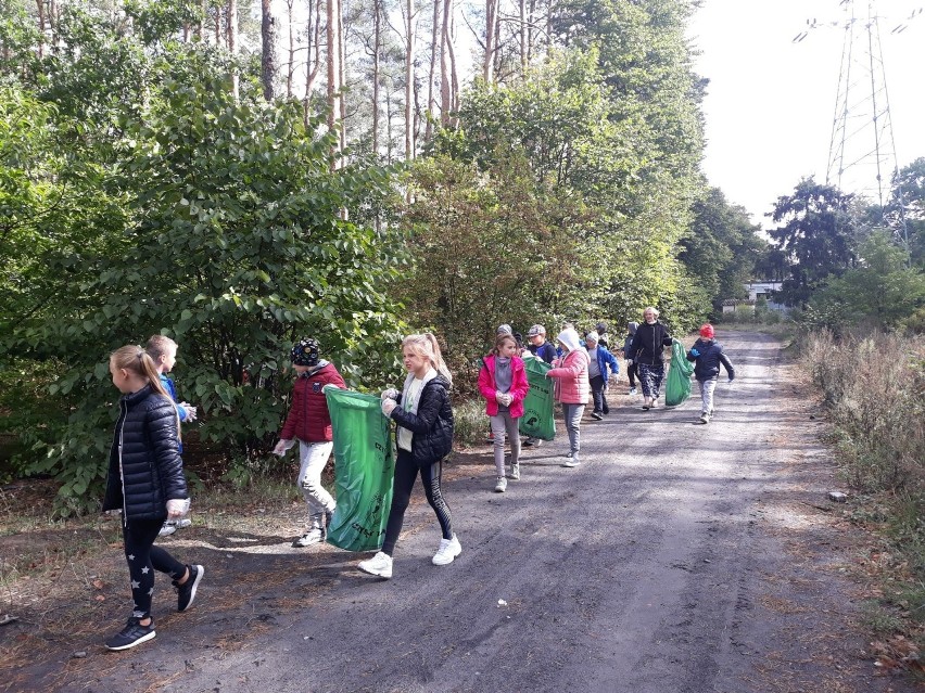 Sprzątanie świata 2019. Dzieci uporządkowały tereny leśne niedaleko Nadleśnictwa Włocławek [zdjęcia]