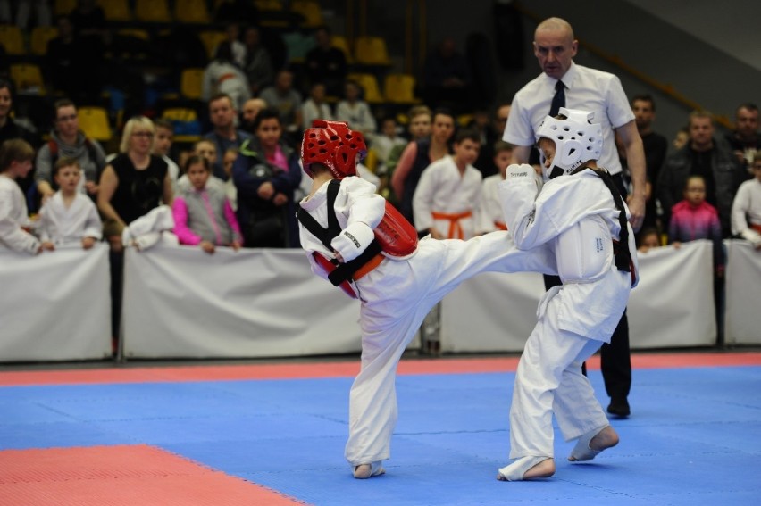 Radomsko: Kolejny sukces Akademii Karate Kyokushin [ZDJĘCIA]