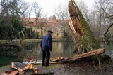 Park Oliwski po orkanie Nadia. Gdański Zarząd Dróg i Zieleni usuwa skutki wichury