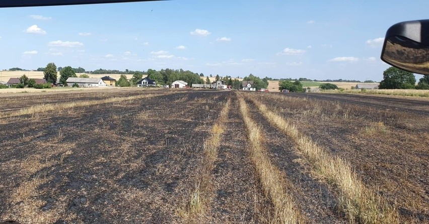 Łobzów. Z pożarem zboża na pniu walczyło dziesięć zastępów strażaków