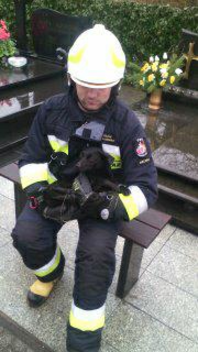Strażacy w Kaliszu uratowali psa uwięzionego w kanale...