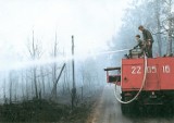 Pożar lasu w Kuźni Raciborskiej w 1992 roku wspominają strażacy [ZDJĘCIA, WIDEO]