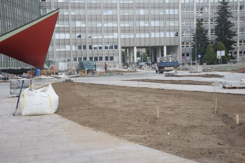 700 krokusów u wojewody! Kończy się remont placu przed Urzędem Wojewódzkim w Kielcach [Zobacz zdjęcia]