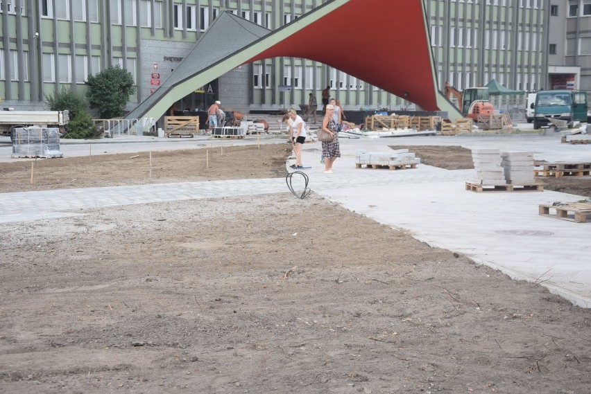 700 krokusów u wojewody! Kończy się remont placu przed Urzędem Wojewódzkim w Kielcach [Zobacz zdjęcia]