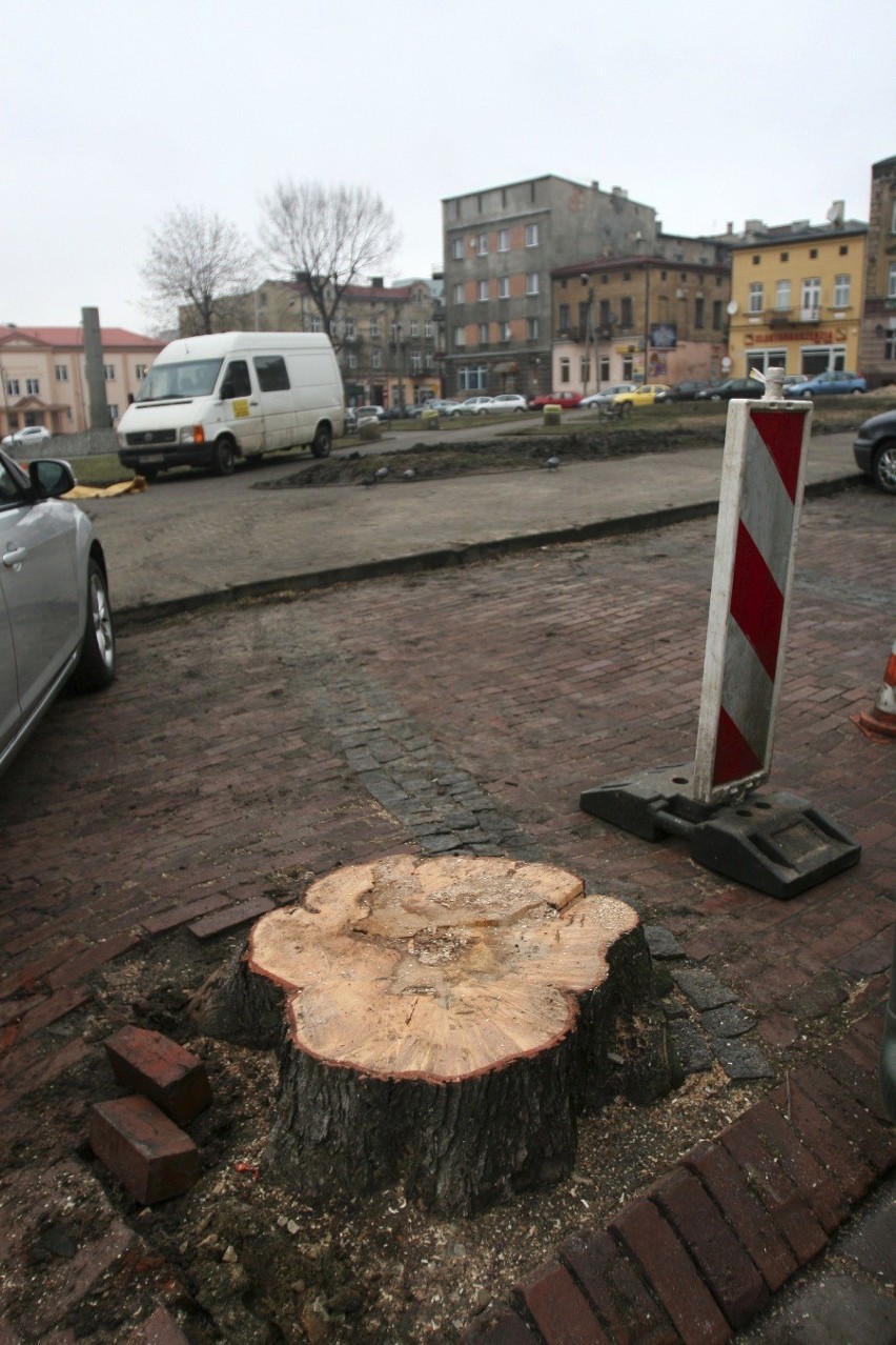 Wycięto drzewa na Placu 3 Maja [ZDJĘCIA]. Będzinianie oburzeni