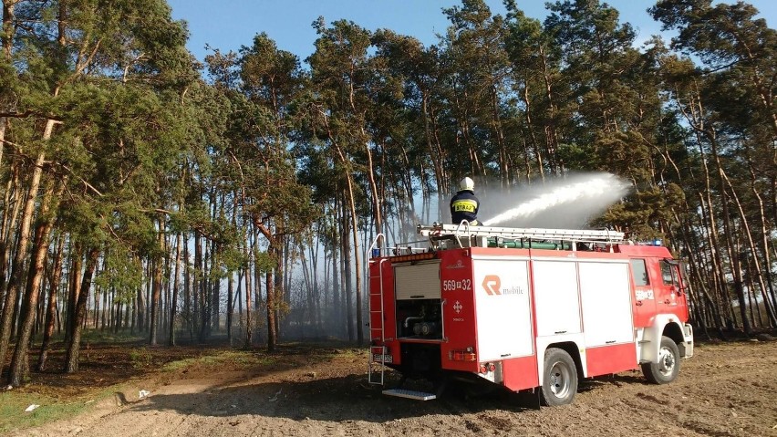 Strażacy zostali zadysponowani do dogaszania pogorzeliska oraz usunięcia plamy oleju
