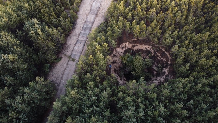 Zapadliska w lasach między Hutkami i Olkuszem