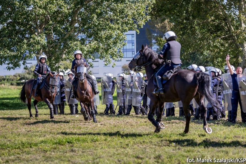 Warszawa. Policyjne konie przeszły atestację. Niesamowite zdjęcia zwierząt na służbie