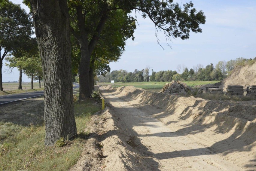 KOŚCIAN. Budowa ścieżki rowerowej z Racotu do Katarzynina oznacza wycięcie około 30 drzew [ZDJĘCIA] 