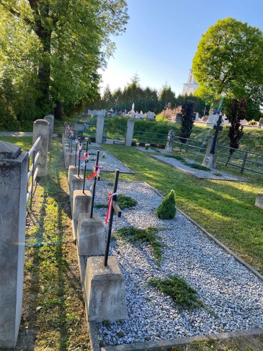 Uporządkowana nekropolia wojenna z I wojny światowej w Tarnowcu