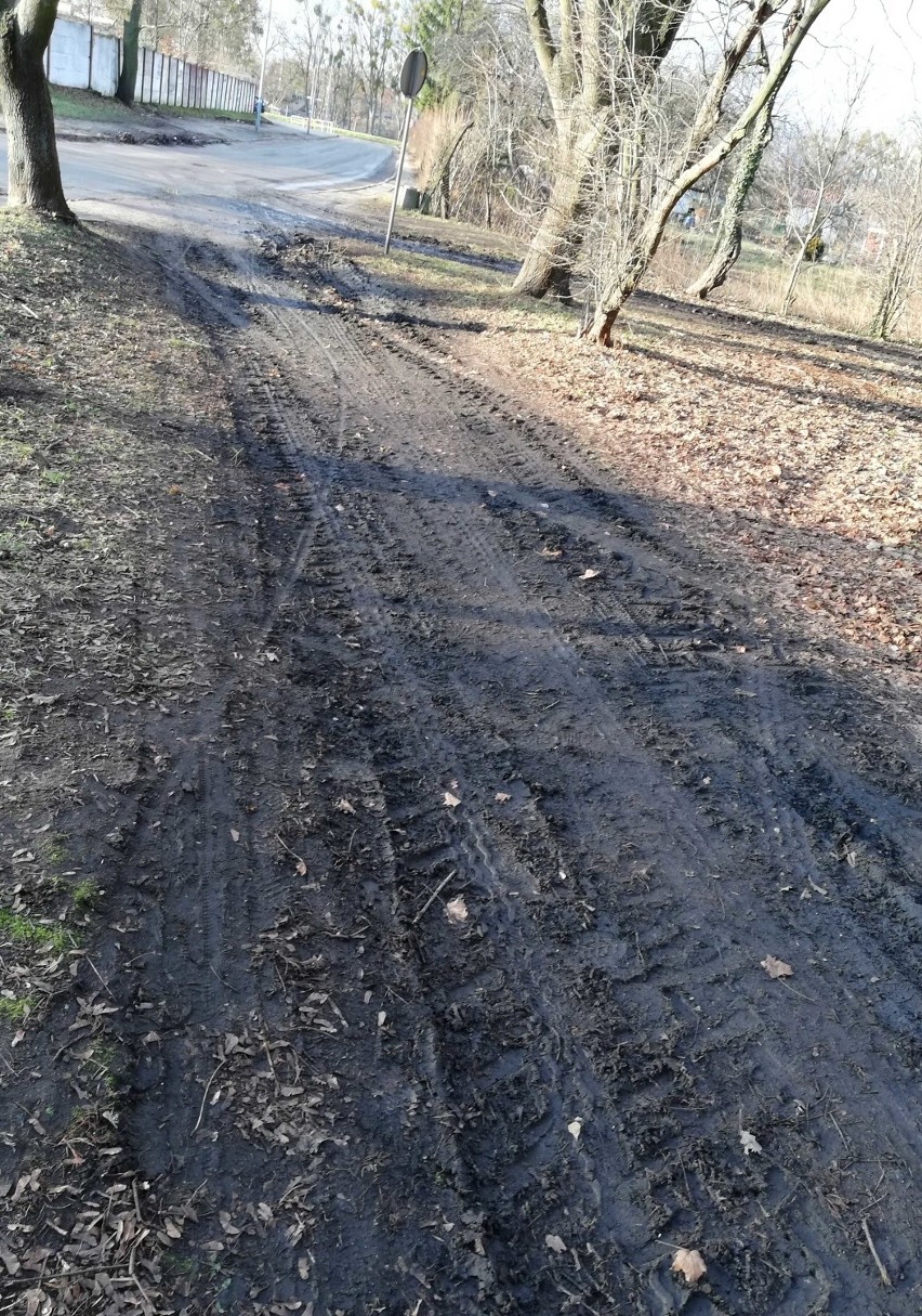 Malbork. Mieszkaniec informuje: "Zatrważający stan ścieżek miejskiego parku"