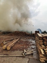 Znamy przyczynę pożaru tartaku w Brzoziu w powiecie brodnickim. Trwa szacowanie strat
