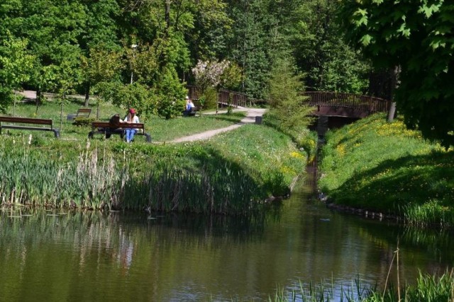 Spacer roślinożerców II odbędzie się 12 maja w godz. 10.00-13.00