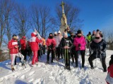 Sukces akcji Policz się z cukrzycą w Sandomierzu. Miłośnicy nordic walking przyjechali z powiatu, by zdobyć wzgórze Salve Regina [ZDJĘCIA]