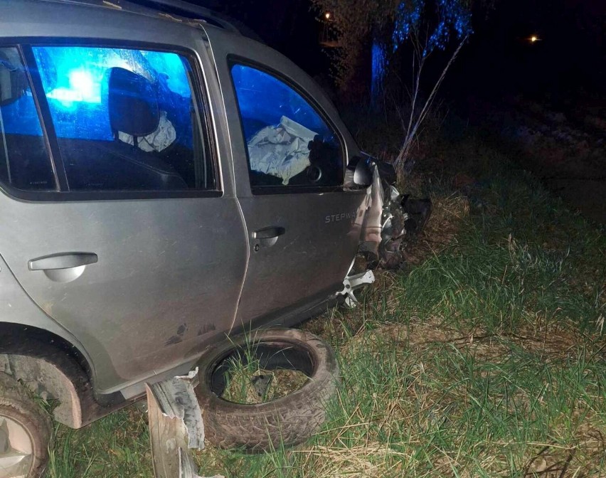 Zderzenie auta z sarną na trasie Mirkowice - Gruntowice! Poszkodowana trafiła na SOR