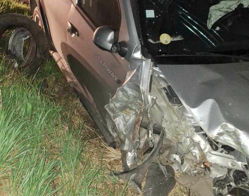 Zderzenie auta z sarną na trasie Mirkowice - Gruntowice! Poszkodowana trafiła na SOR