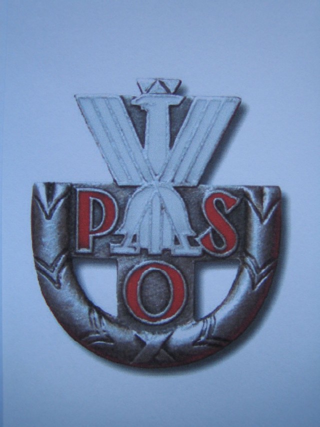 Polska Odznaka Sportowa (srebrna)- POS