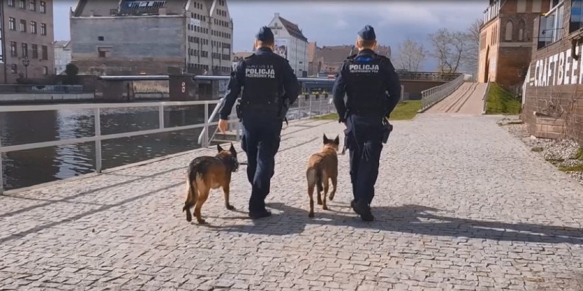 Szukają zaginionych osób, narkotyków oraz ładunków wybuchowych. Psy pracujące w gdańskiej komendzie [zdjęcia, wideo]