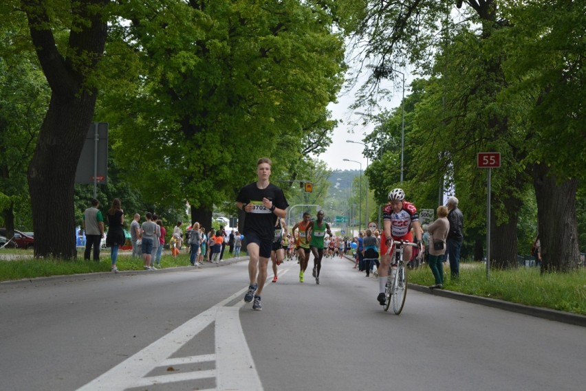 VII Kwidzyński Bieg Papiernika [CZ.4]. ZDJĘCIA z trasy i klasyfikacja drużynowa