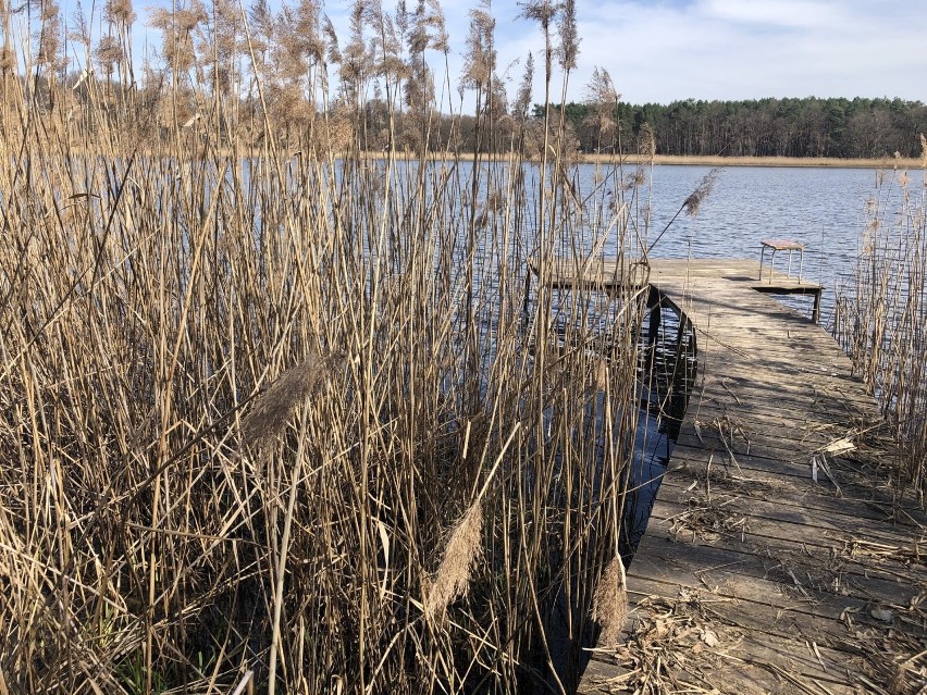 W województwie lubuskim nie brakuje klimatycznych miejsc,...