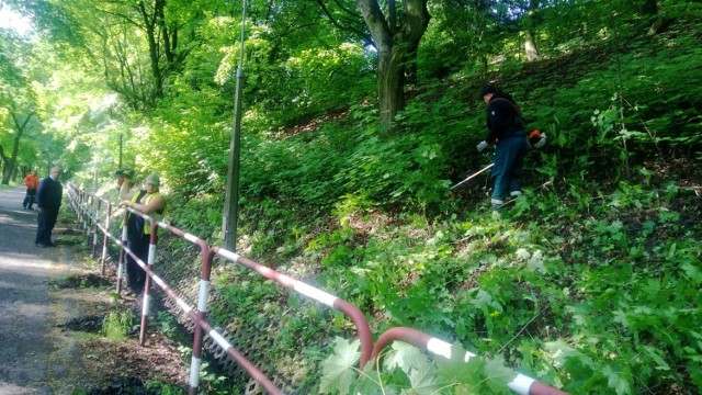 Promenada w Mysłowicach została posprzątana przed I Piknikiem Historycznym.