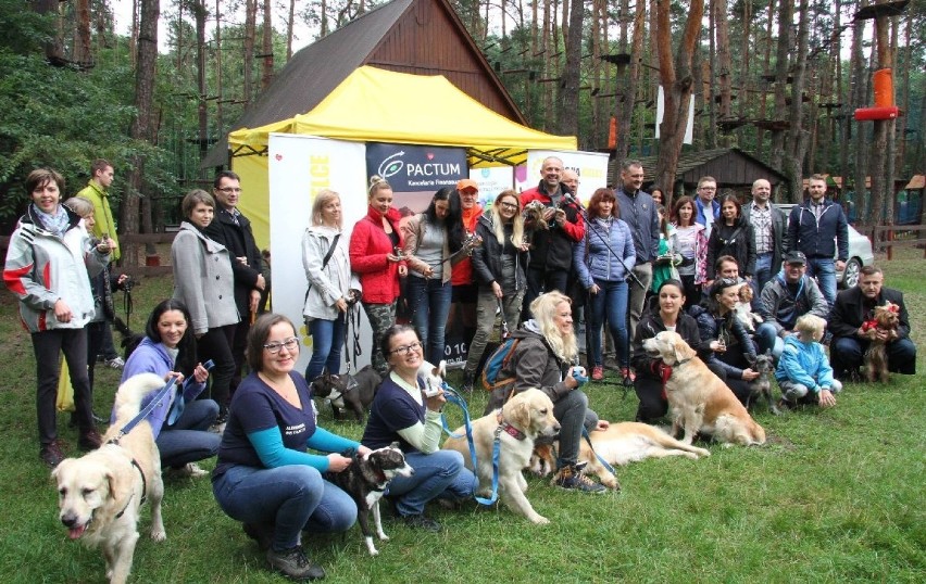 Stowarzyszenie apeluje o budowę grzebowiska dla zwierząt w Kielcach. I zbiera podpisy